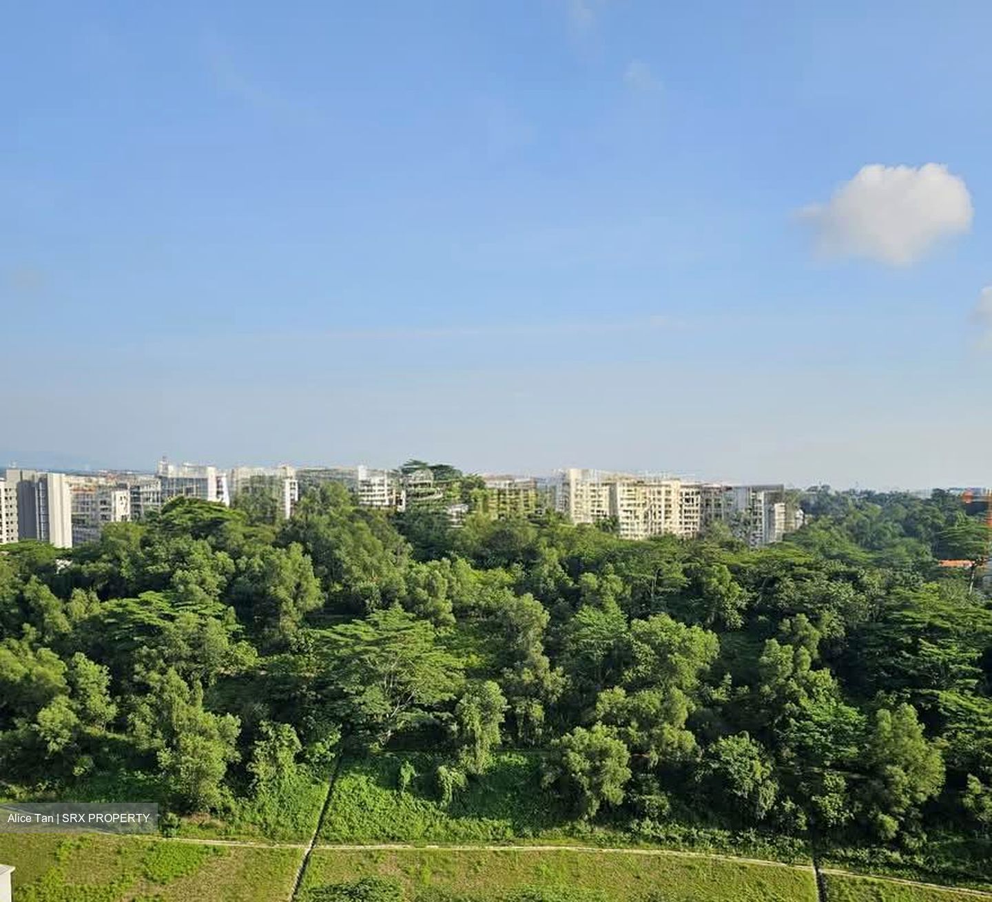 Blk 450D West Terra @ Bukit Batok (Bukit Batok), HDB 2 Rooms #547675271